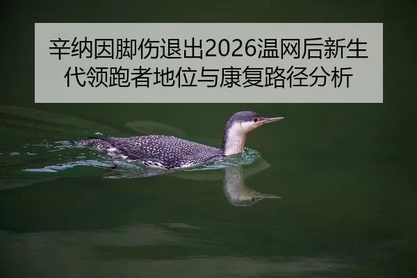 辛纳因脚伤退出2026温网后新生代领跑者地位与康复路径分析