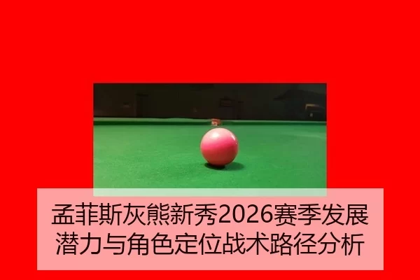 孟菲斯灰熊新秀2026赛季发展潜力与角色定位战术路径分析