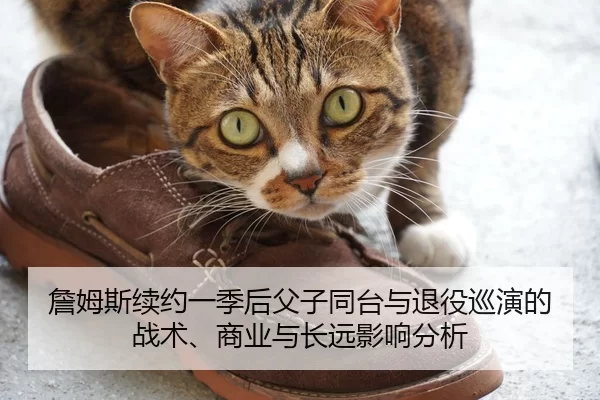 詹姆斯续约一季后父子同台与退役巡演的战术、商业与长远影响分析